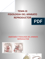 Fisiologia Del Aparato Genital Femenino