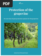 Grape Growth Stages Overview | PDF | Vitis | Leaf