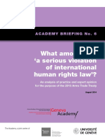 Briefing 6 What is a serious violation of human rights law_Academy Briefing No 6.pdf