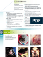 FIV Infectia Cu Virusu - Imunodeficientei Feline PDF