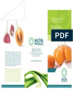 BROCHURE NATIVA