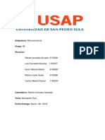 Monopolio Puro Microeconomia PDF