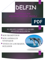 El Delfin