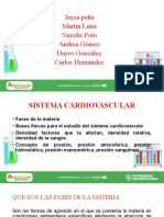 Sistema Cardiovascular