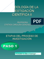 Pasos Del Proy. de Invest.
