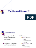 Skeletal System Part II