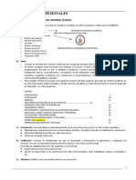 Guía para La Elaboración Del Informe Técnico