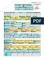 Ficha Individual peru.pdf