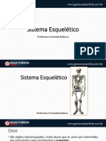 Sistemaesqueletico PDF