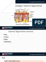 Sistemategumentar PDF