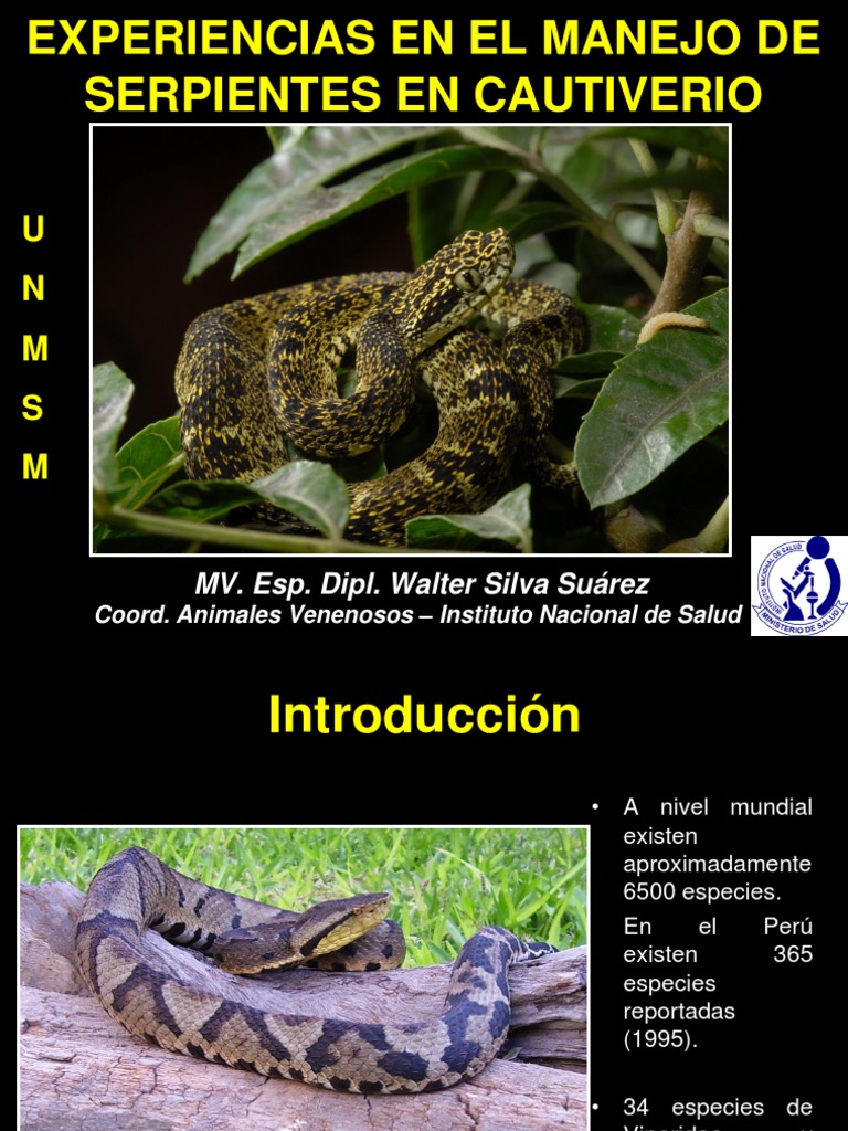Serpientes en Cautiverio PDF | PDF | Serpiente | Termorregulación