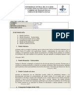 Informe TR PDF