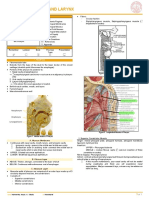 Pharynx and Larynx: A. B. C. D. E. F. G. II. A. B. C. D. E. F. G. Iii. IV. V