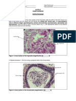 Parts of Frog Histology