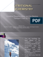 Oxidative Phosphorylation and The Electron Transport Chain (ETC)