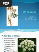 Dong Quai Presentation