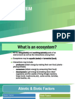 Ecosystem 1