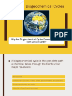 Biogeochemical Cycles: Why Are Biogeochemical Cycles Essential To Long-Term Life On Earth?