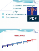 Patologia Corpului Uterin - Sef Lucrari DR Aursulesei