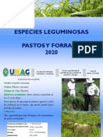 PRESENTACIÓN. LEGUMINOSAS-PASTOS Y FORRAJES-2020 (1)