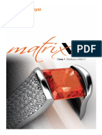 Matrix 6 2 Manual Rus Chapter 1 PDF