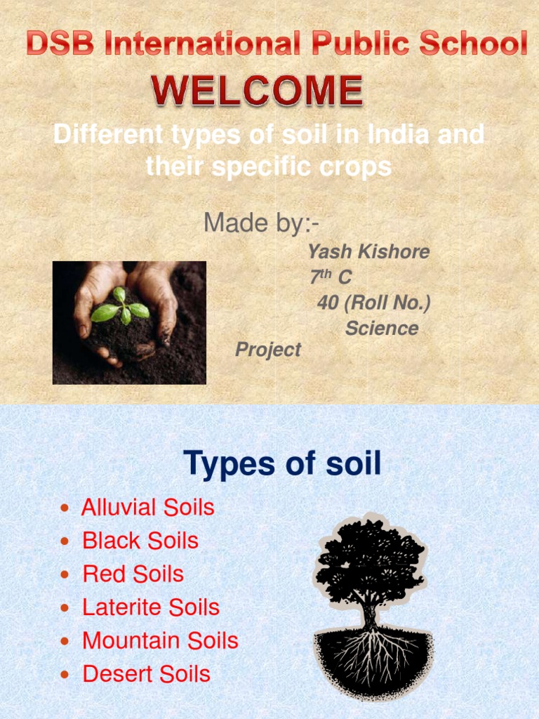 Soil Types and Crops in India | PDF | Geomorphology | Soil