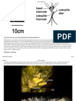 Pšenica - Agronomija 40-45