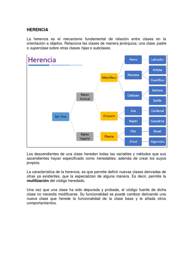 Herencia PDF | PDF | Herencia (Programación Orientada a Objetos ...