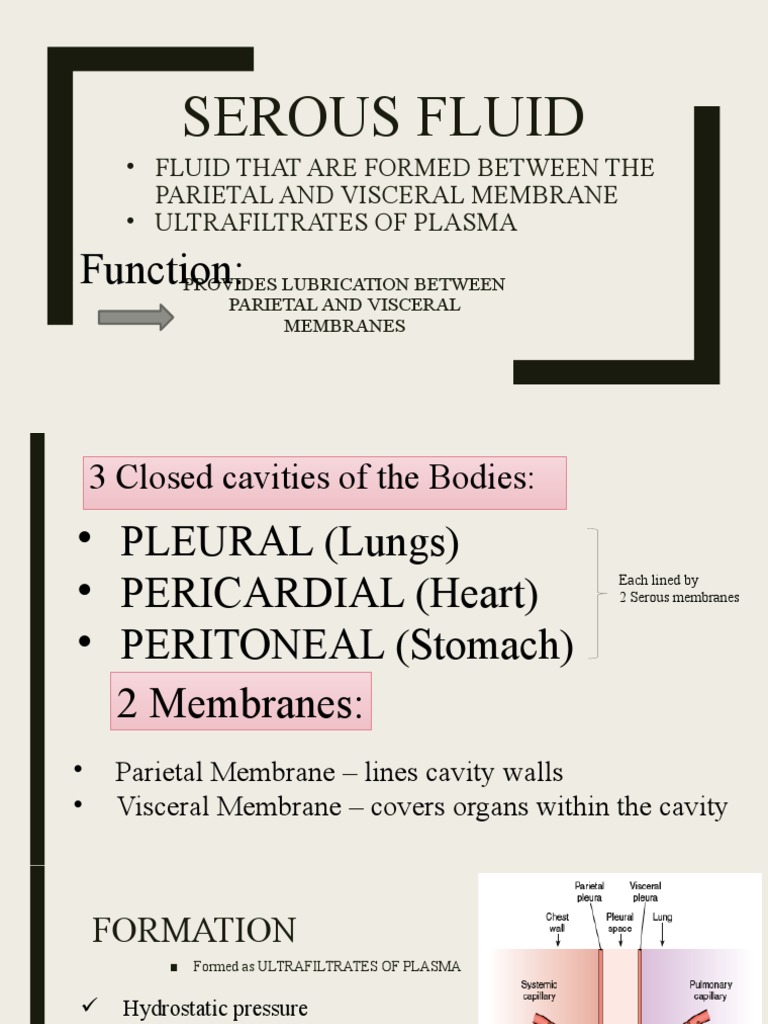 Serous Fluid: Function | PDF | White Blood Cell | Anatomy