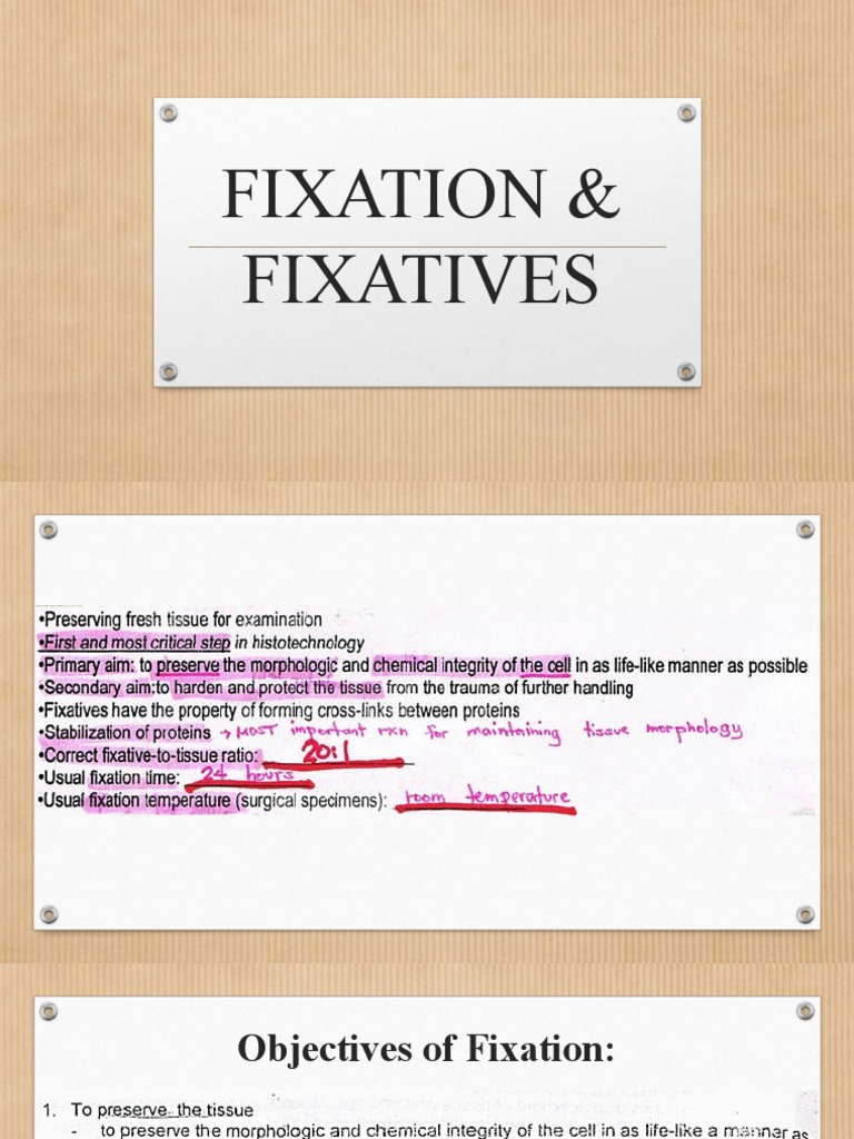 03 Fixation Fixatives | PDF