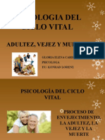 Ciclo Vital Adultez Veje y Muerte