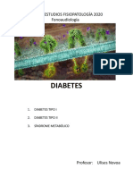 Guia Diabetes Fono (1)