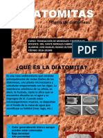 Diatomitas - Transaccion Minerales