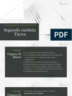 Acu m2 Tierra PDF