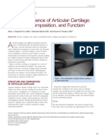 The Basic Science of Articular Cartilage: Structure, Composition, and Function