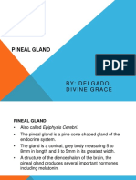 Pineal Gland: By: Delgado, Divine Grace