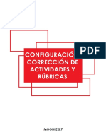 Configuracion Correccion Actividades (Rubricas) PDF