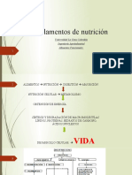 Fundamentos nutrición: Macronutrientes, vitaminas, minerales