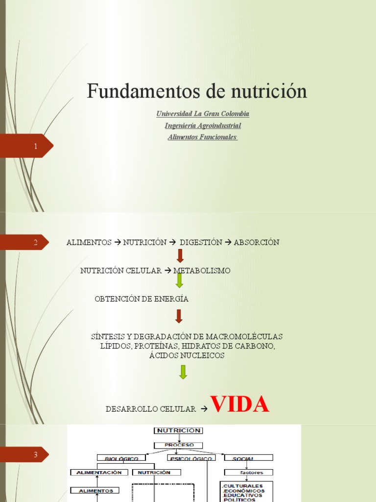 Nutrientes y Funciones en la Alimentación | PDF | Nutrientes | Alimentos