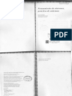 Pensamiento de Sistemas, Práctica de Sistemas PDF