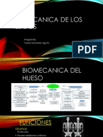 Biomecanicadelostejidos 150906222134 Lva1 App6892