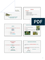 Clase de Aceites Esenciales PDF