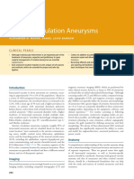 Anterior Circulation Aneurysms: Clinic Al Pearls