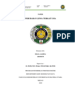 Agelens Fix PDF