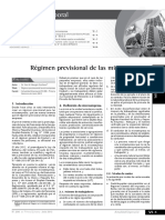 Regimen Previsional de Las Microempresas