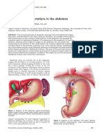 CADEIAS+LINFONODAIS.pdf