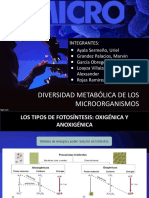 EXPOSICIÓN DIVERSIDAD METABOLICA E LOS ORGANISMOS - MICROBIOLOGÍA.pptx