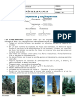 Grado 8 Isjc Clasificación de Las Plantas Ii