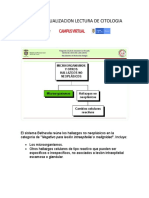 Curso Actualizacion Lectura de Citologia