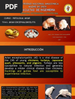 PALS Final Exam | PDF | Cardiopulmonary Resuscitation | Cardiac Arrest